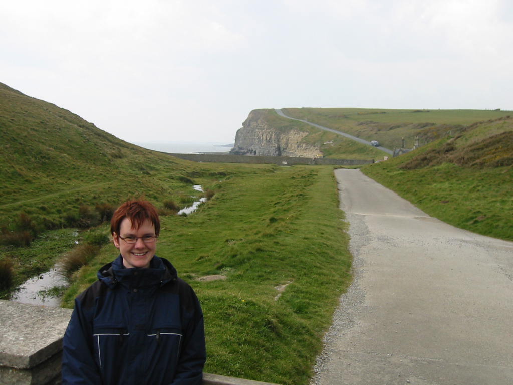 D&ouml;rte. Im Hintergrund ist der Strand versteckt